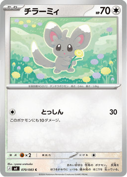 Minccino