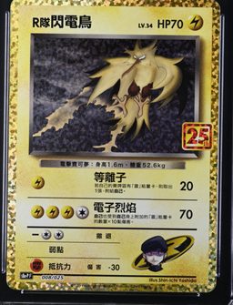 Rocket's Zapdos