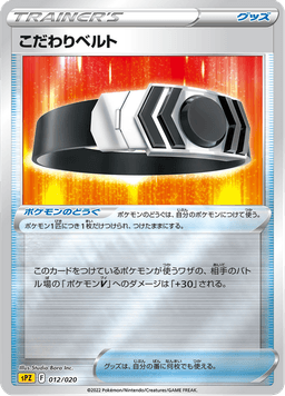 Choice Belt