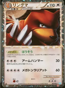 Ursaring-Holo