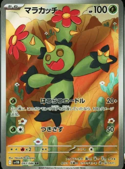 Maractus