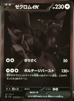 Zekrom Ex