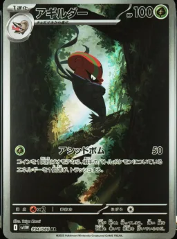 Accelgor