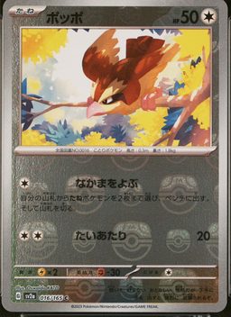 Pidgey