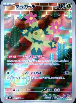 Maractus