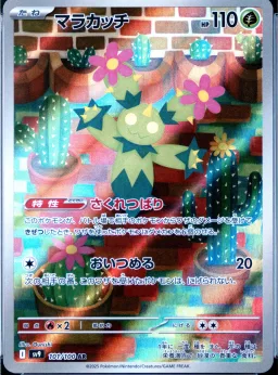 Maractus