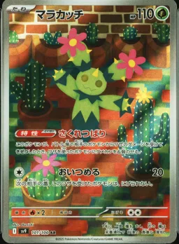 Maractus