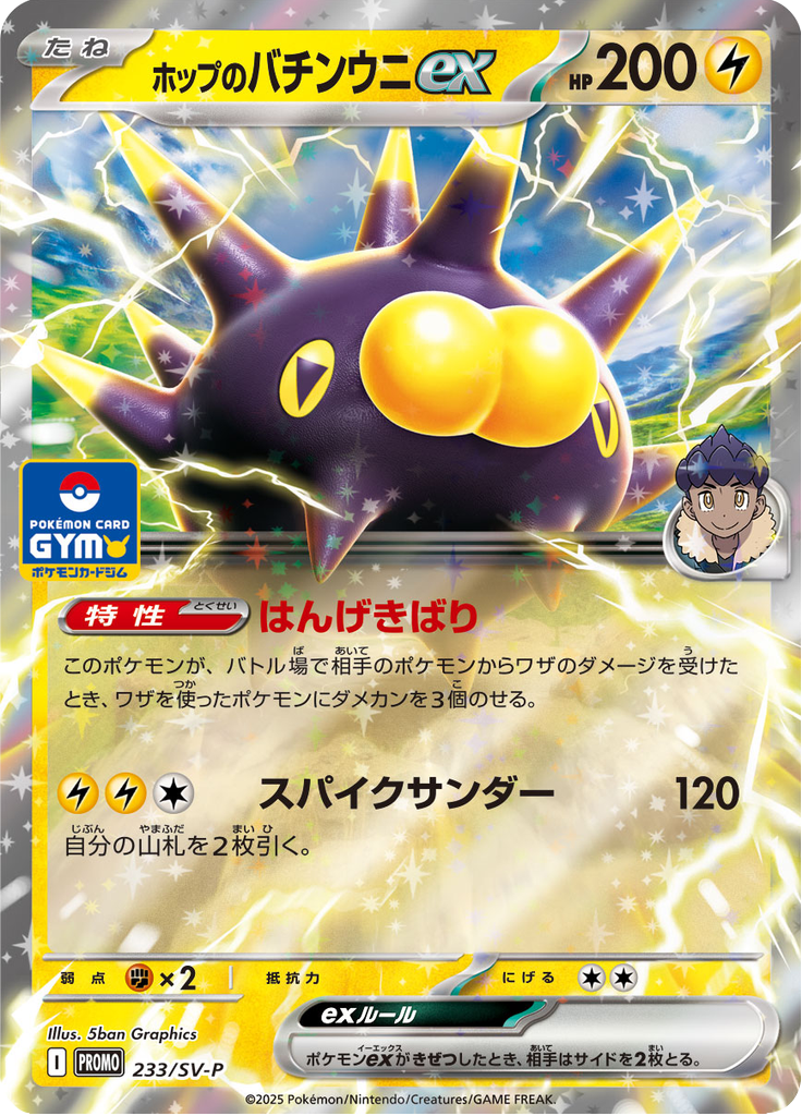 Hop's Pincurchin ex