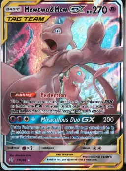 Mewtwo & Mew Gx