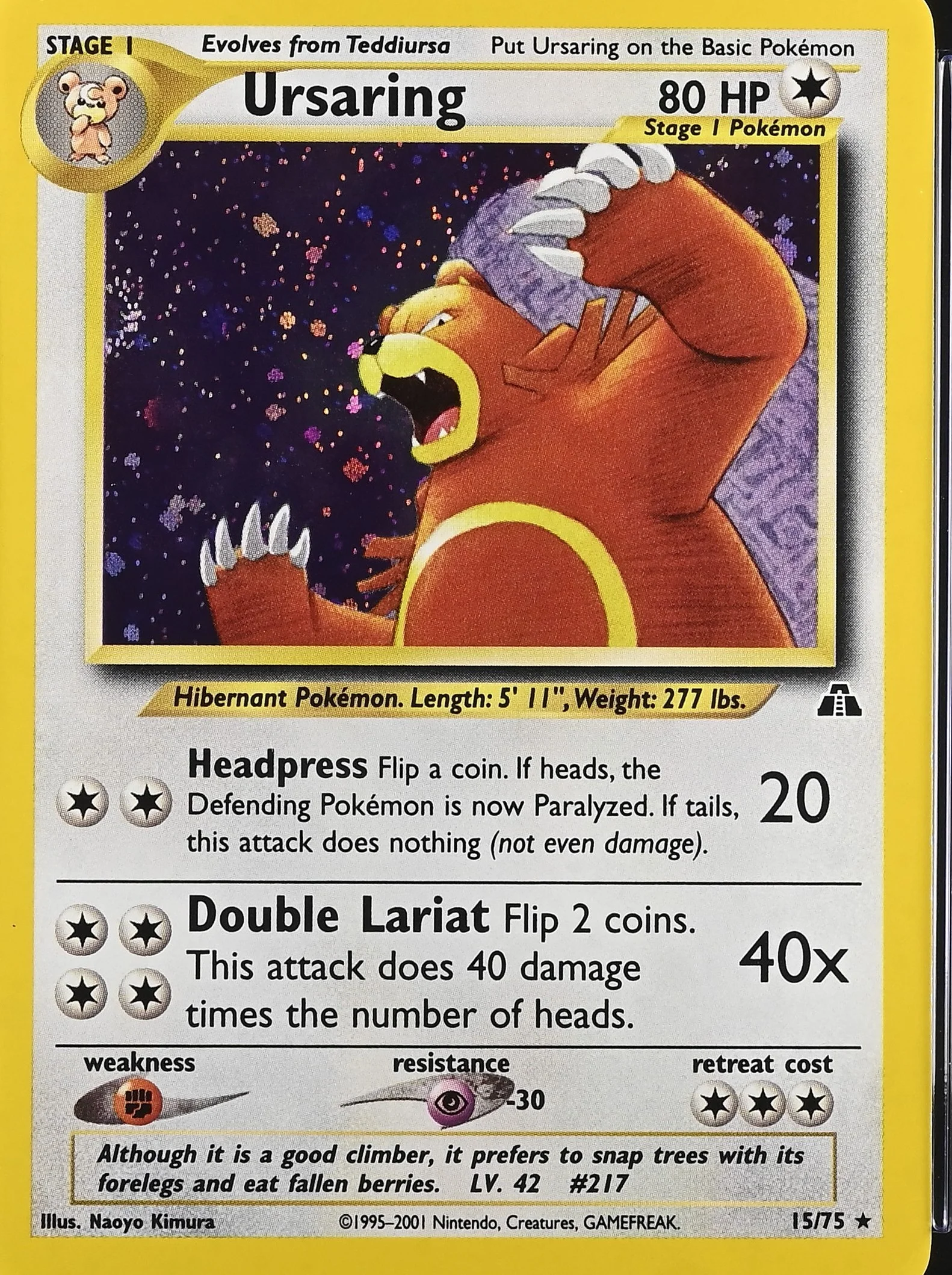 Ursaring-Holo