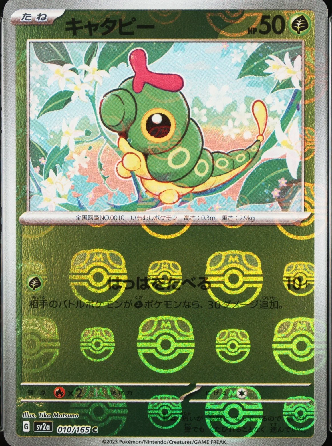 Caterpie