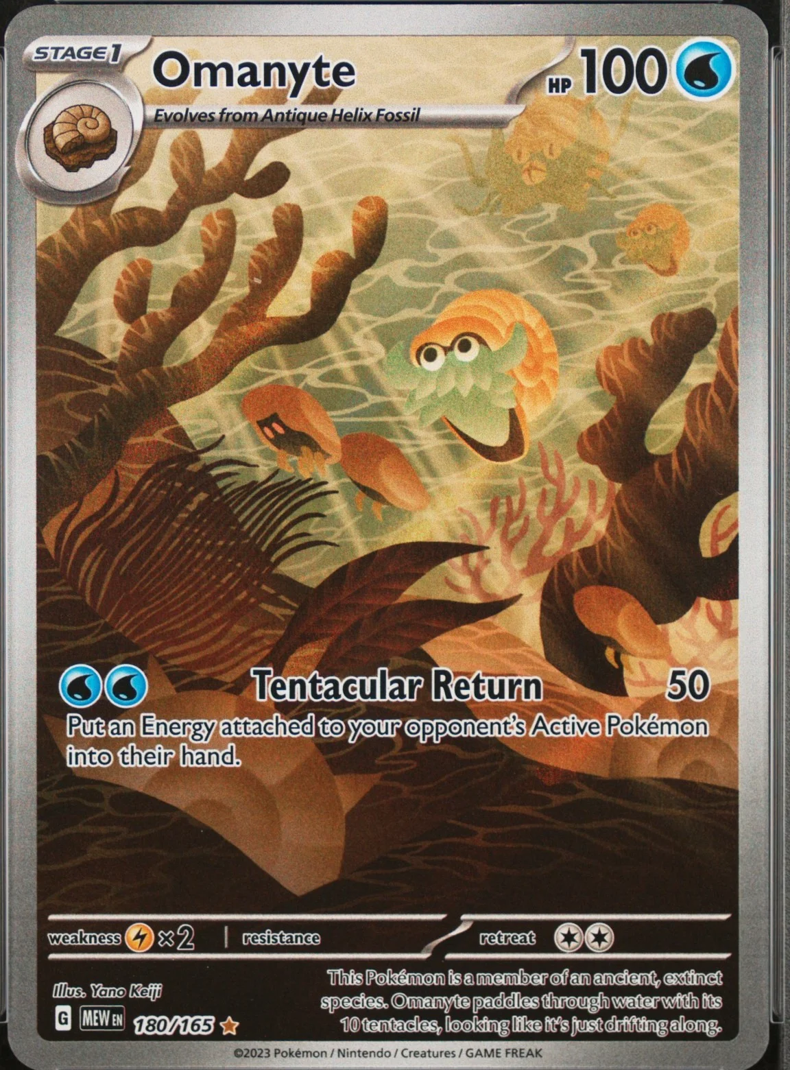 Omanyte