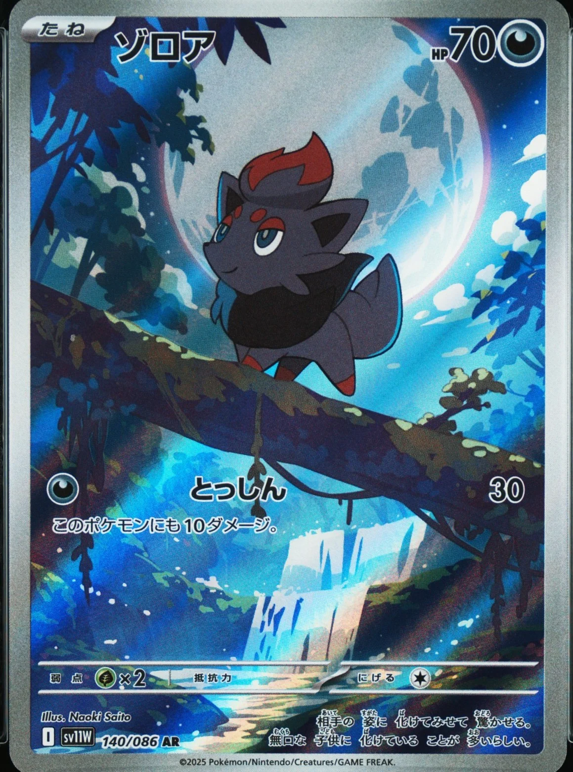Zorua