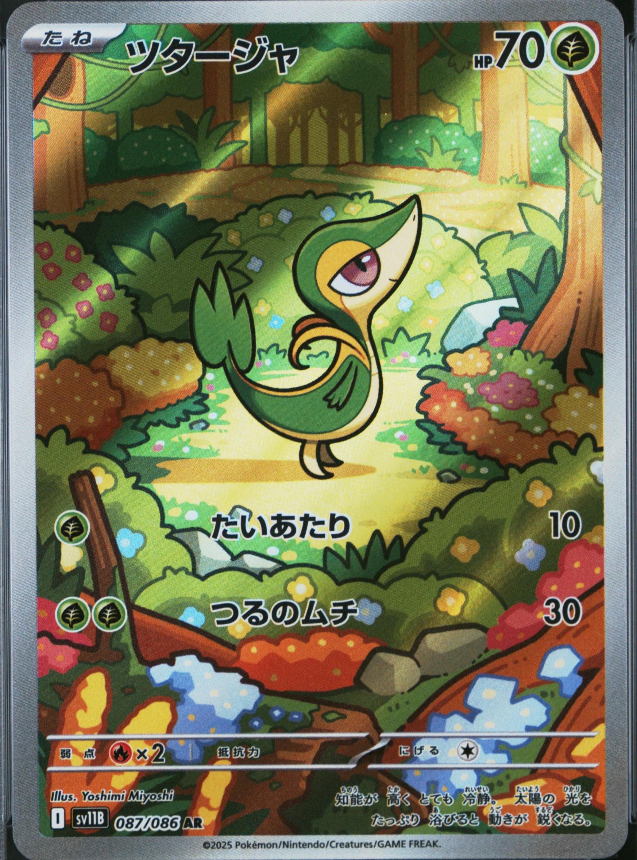 Snivy