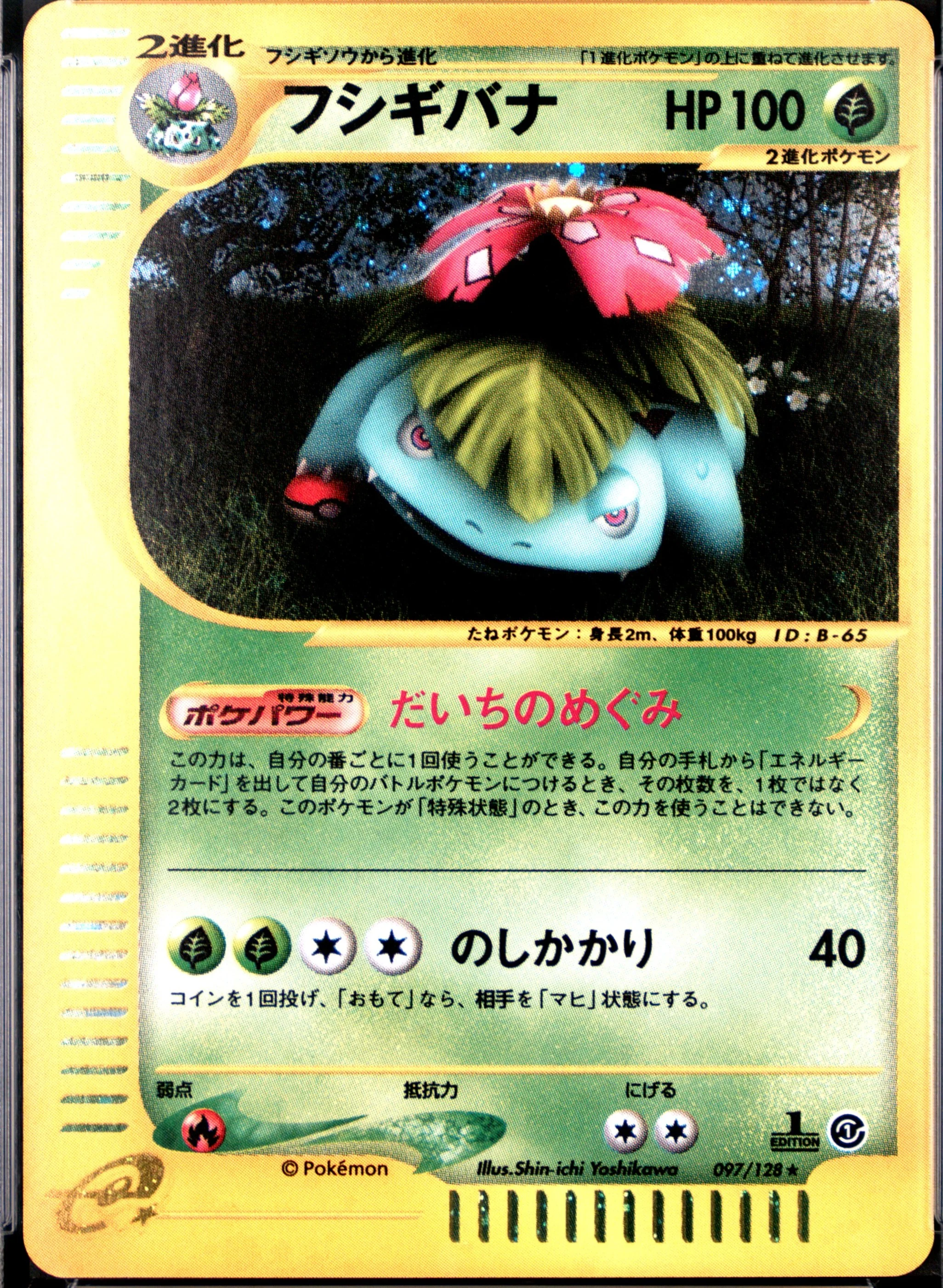 Venusaur-Holo