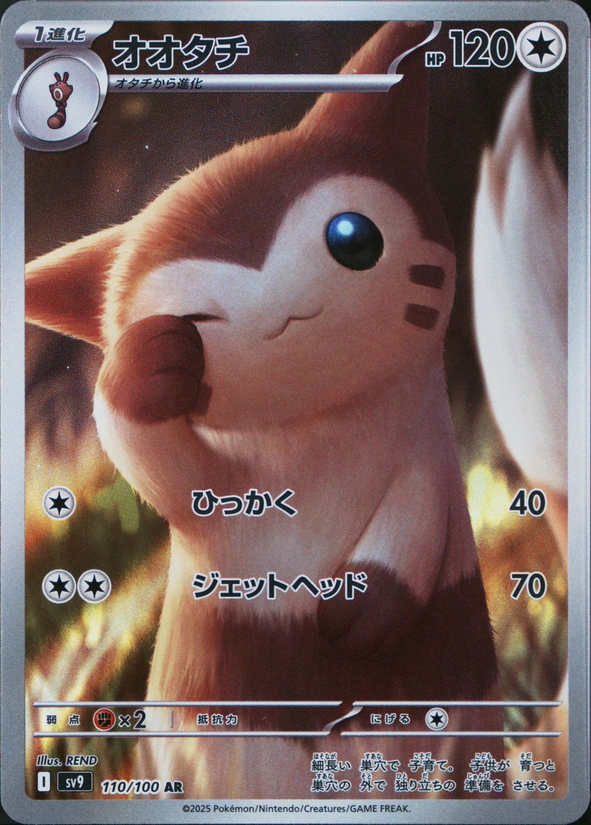 Furret