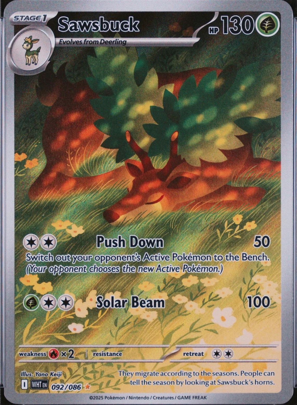 Sawsbuck