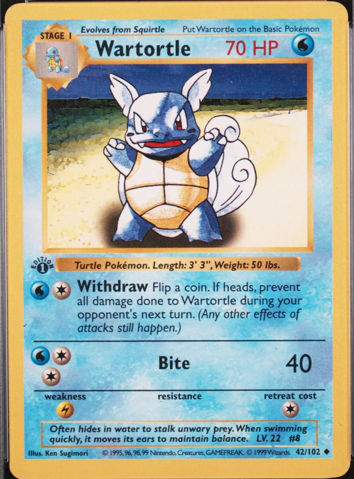 Wartortle