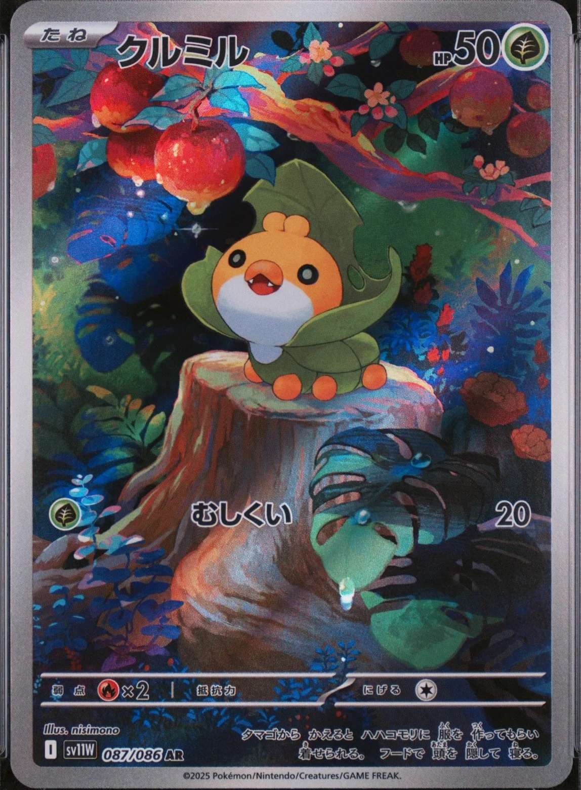 Sewaddle