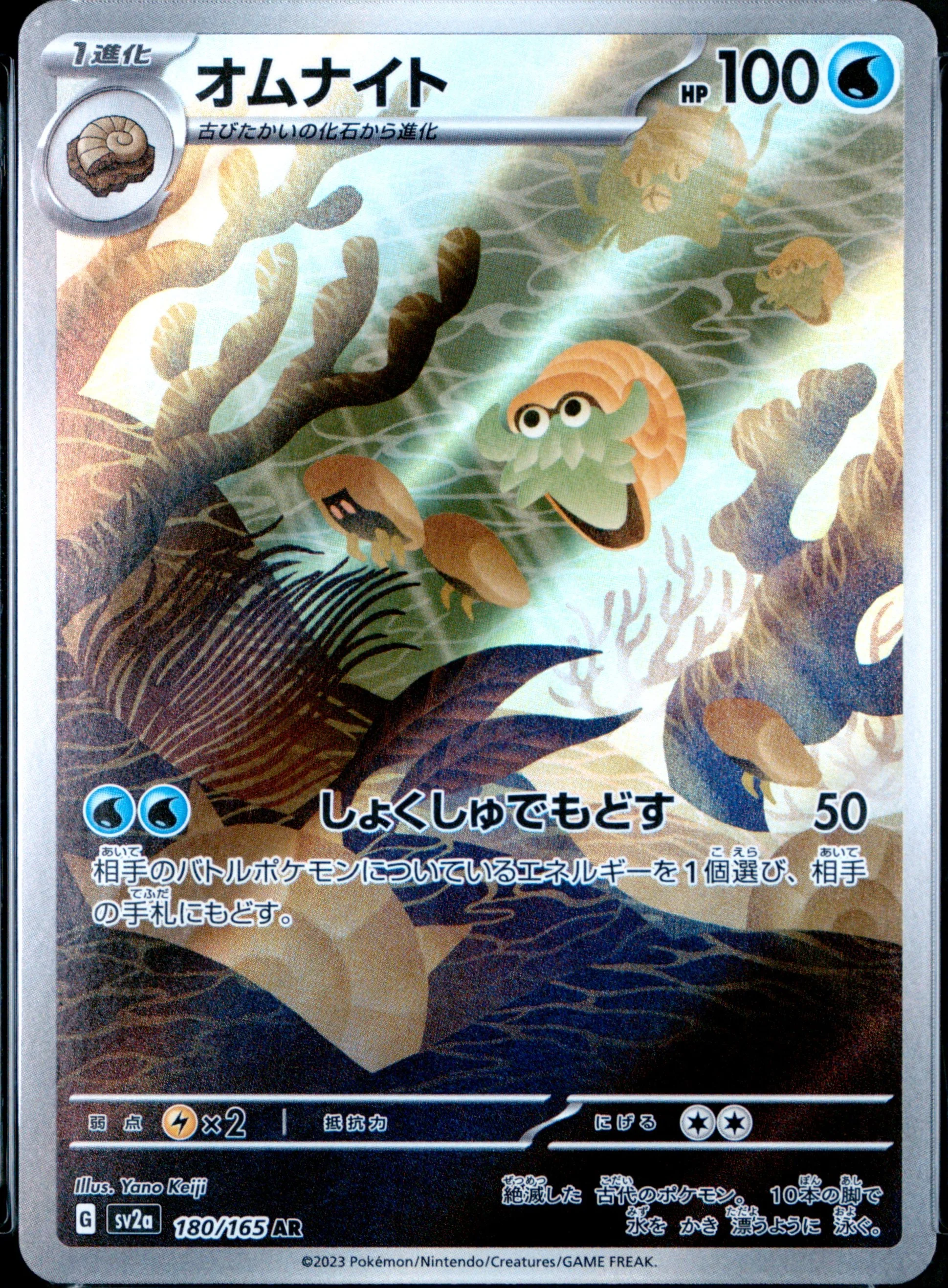 Omanyte