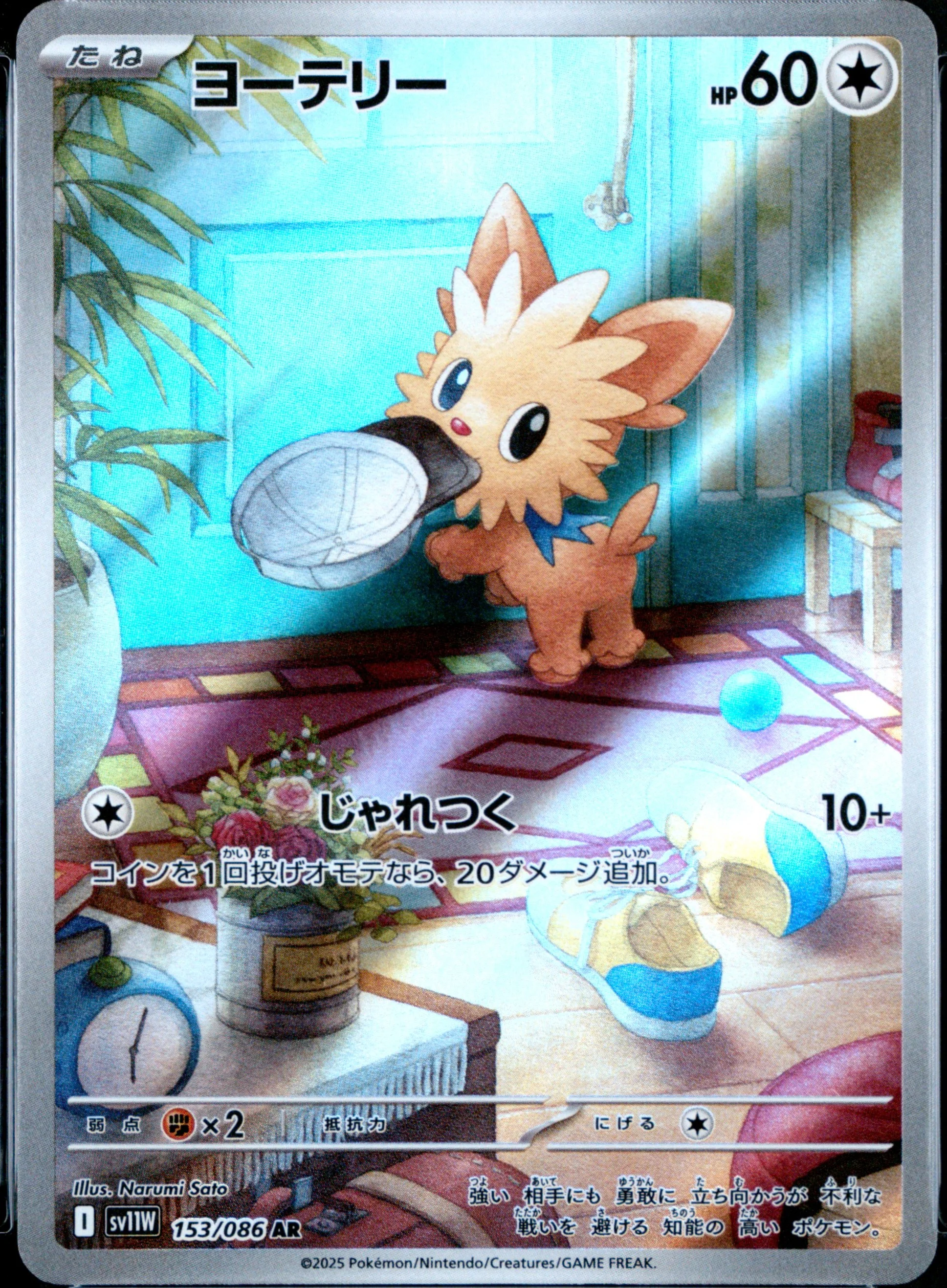 Lillipup