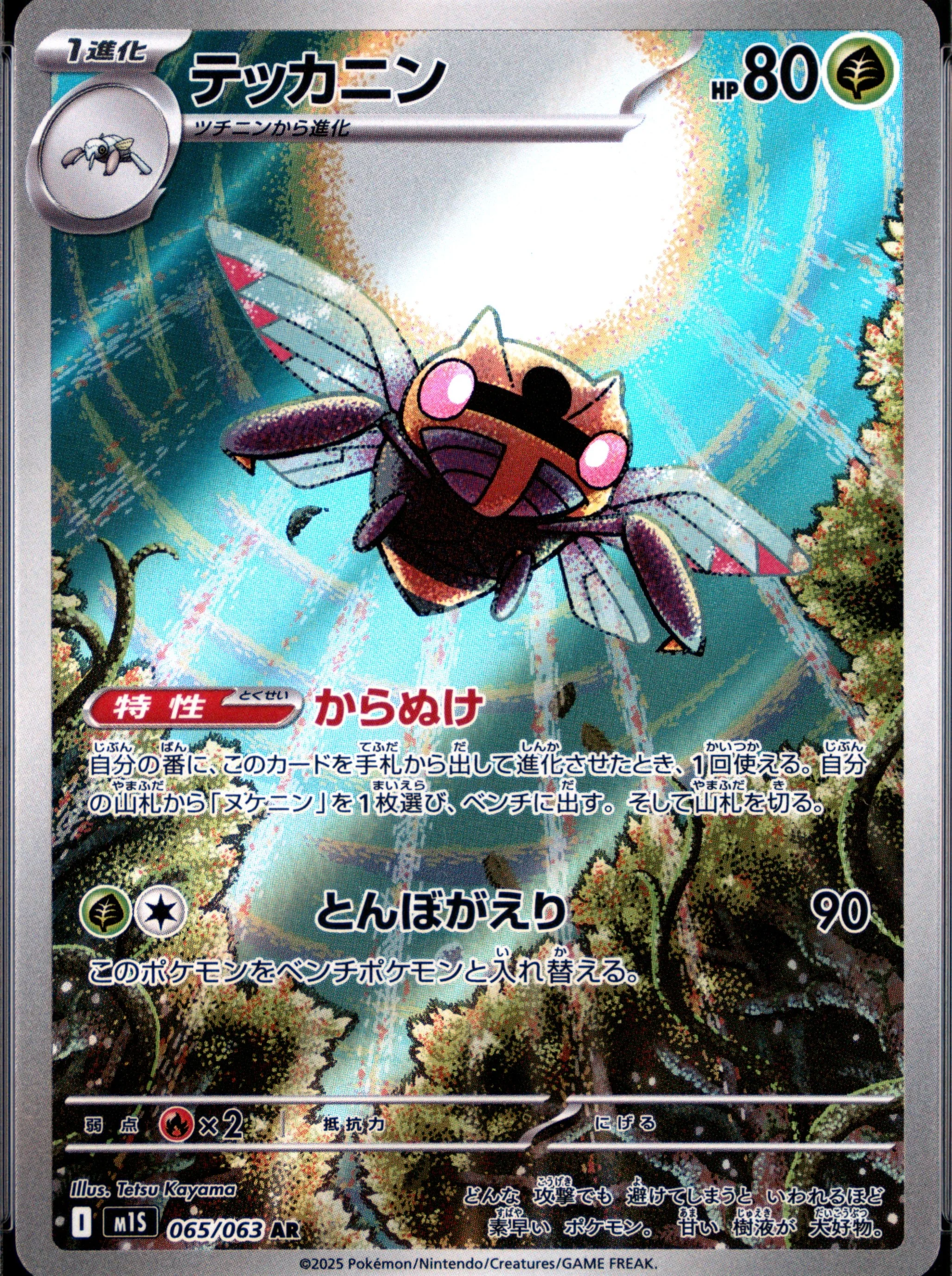 Ninjask