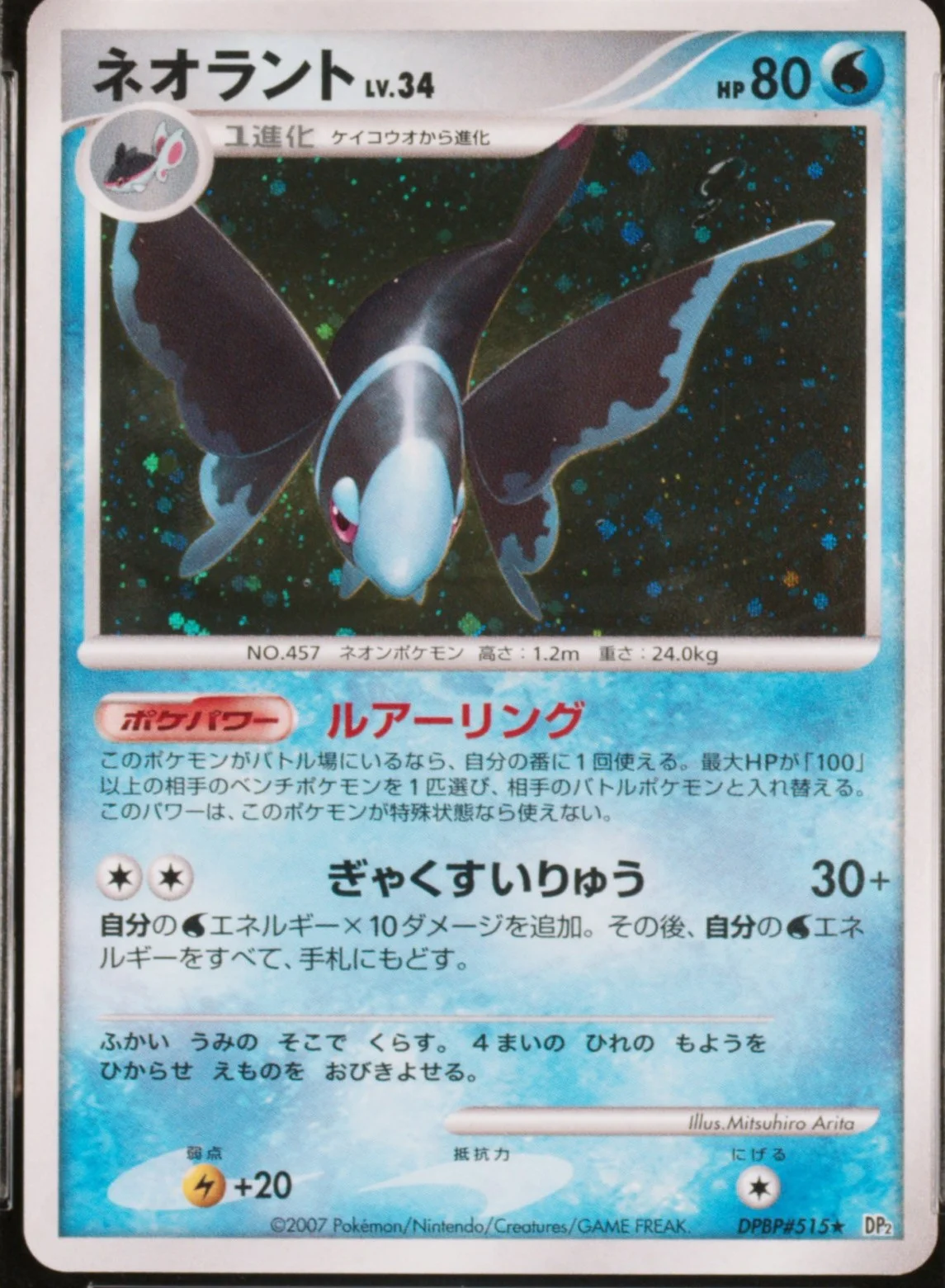 Lumineon-Holo