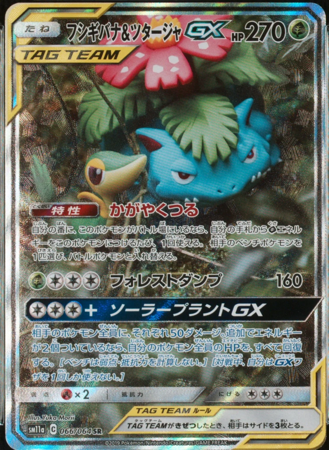 Venusr. & Snivy Gx