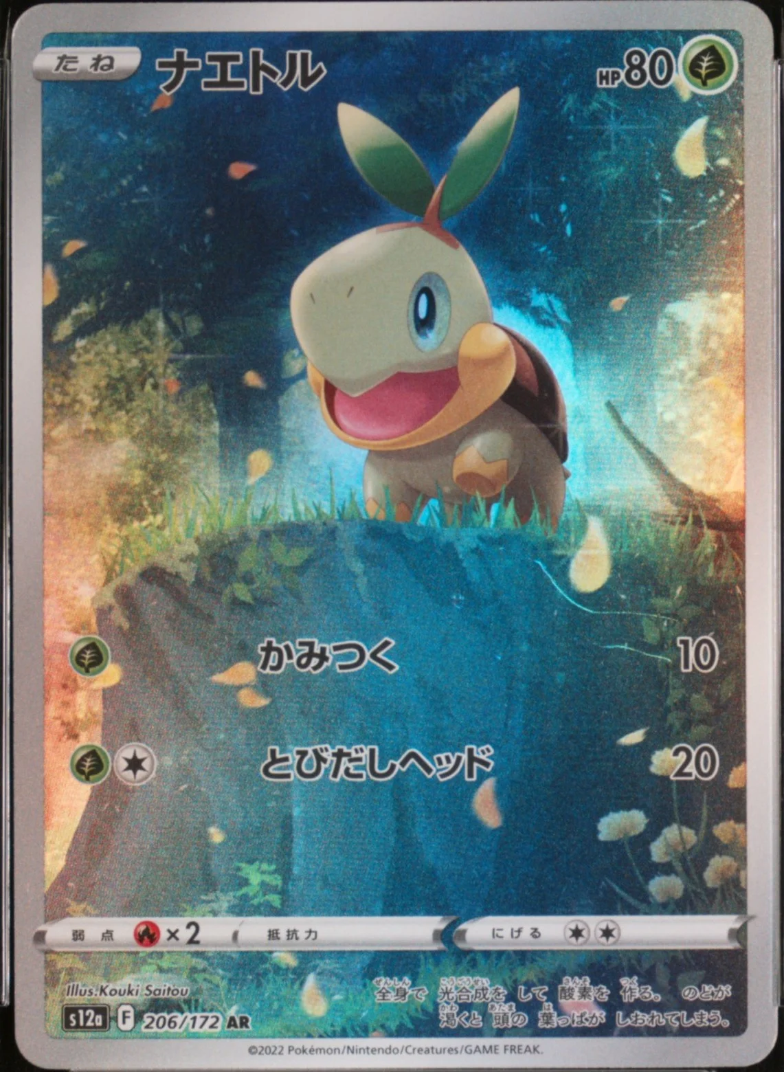 Turtwig
