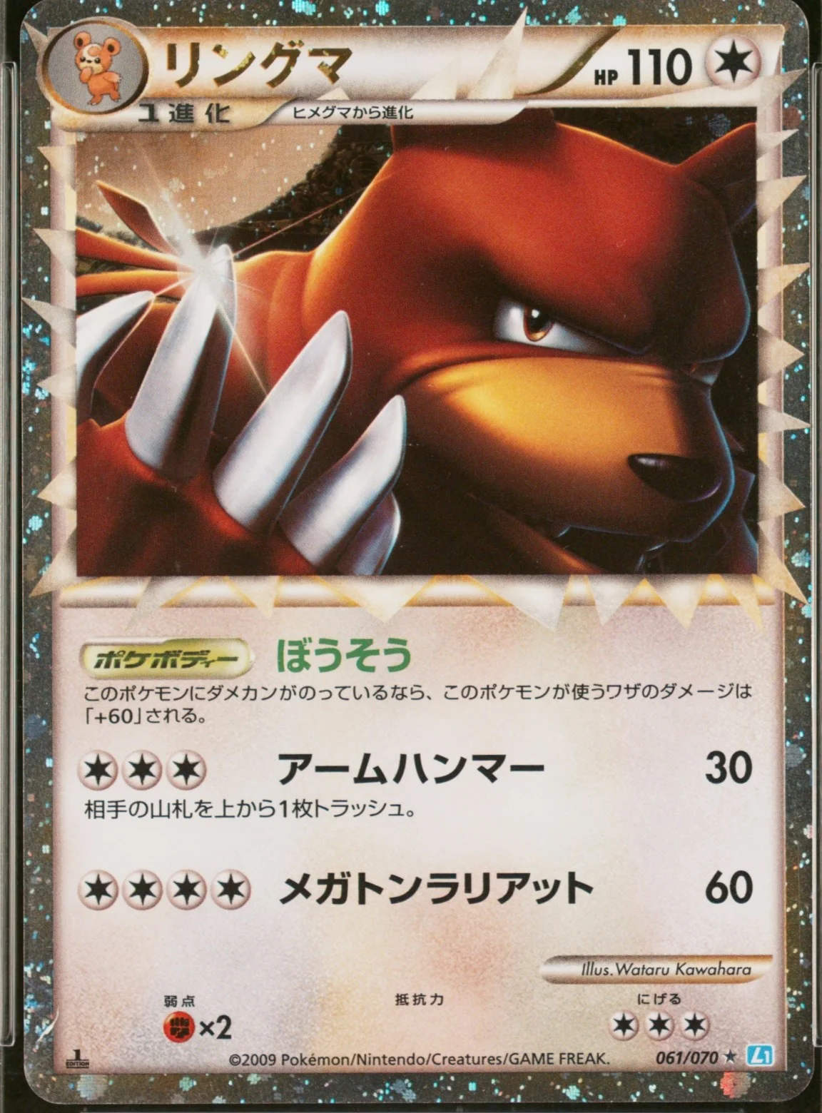 Ursaring-Holo