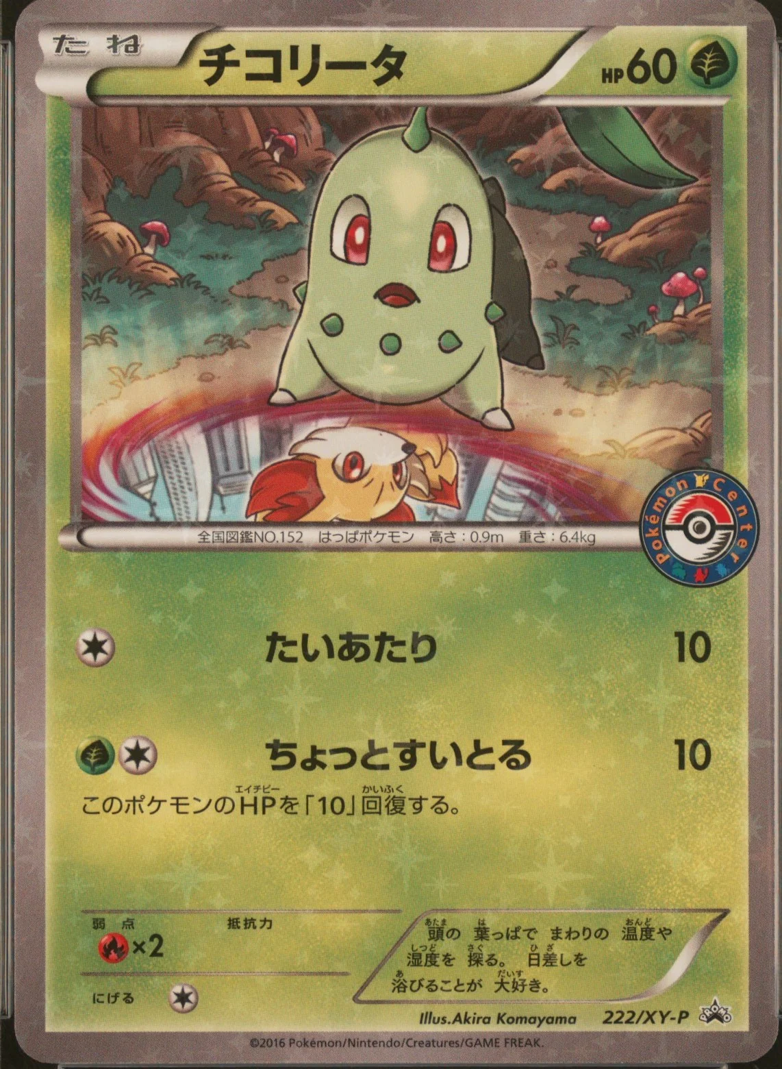 Chikorita
