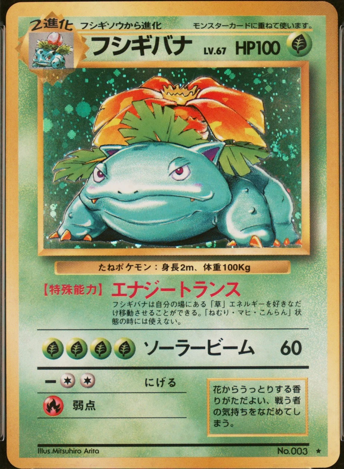 Venusaur-Holo