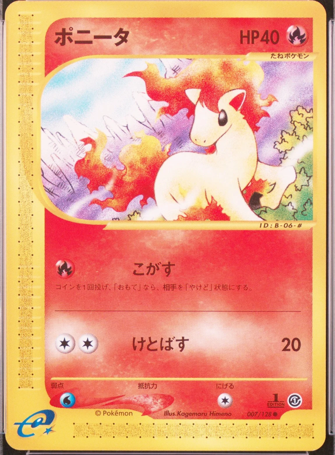 Ponyta