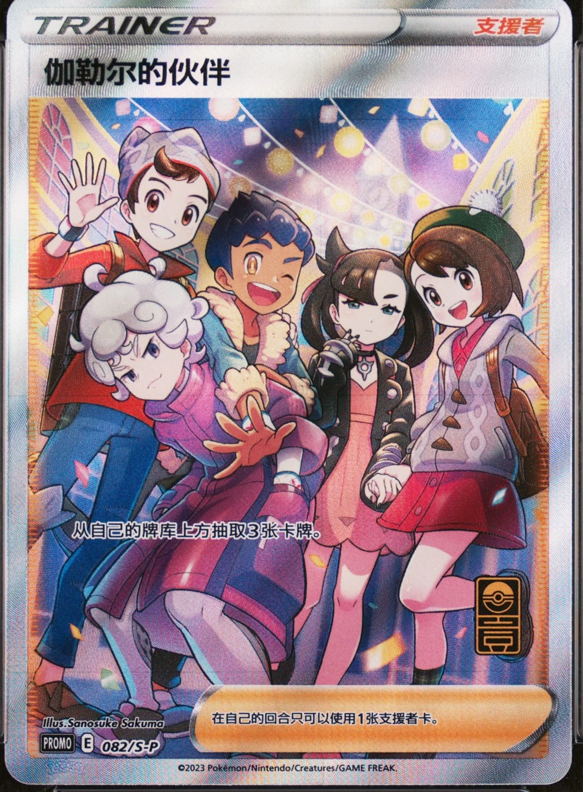 Friends In Galar