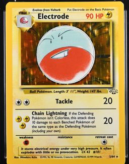 Electrode-Holo