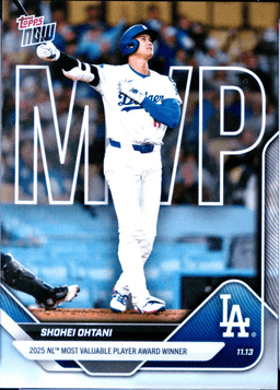 Shohei Ohtani